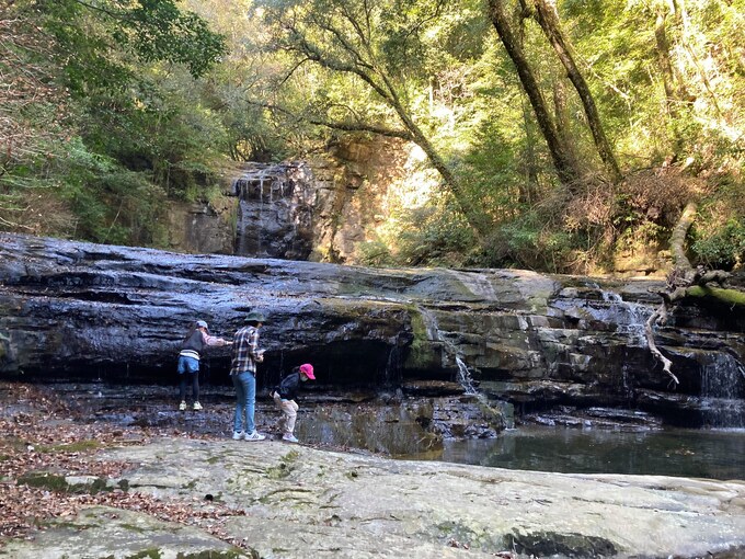 37 宮崎県日南市 森と未来 都会の人と 地域の森を繋ぐ