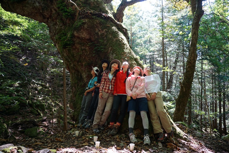Shinrin-yoku (Forest Bathing) in Japan